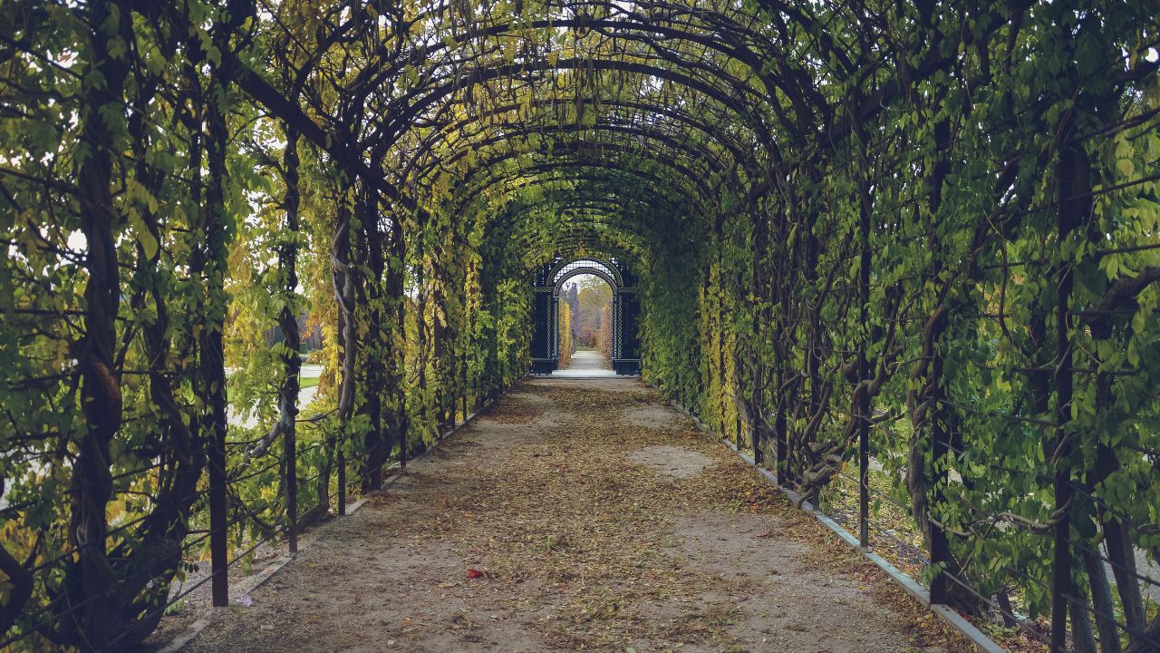 Relaxing Garden Stroll